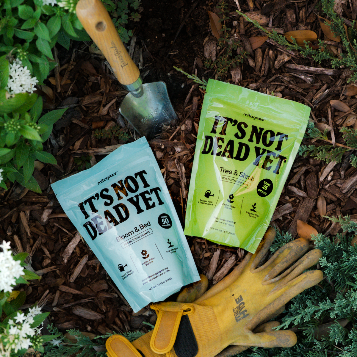 Outdoor Bundle