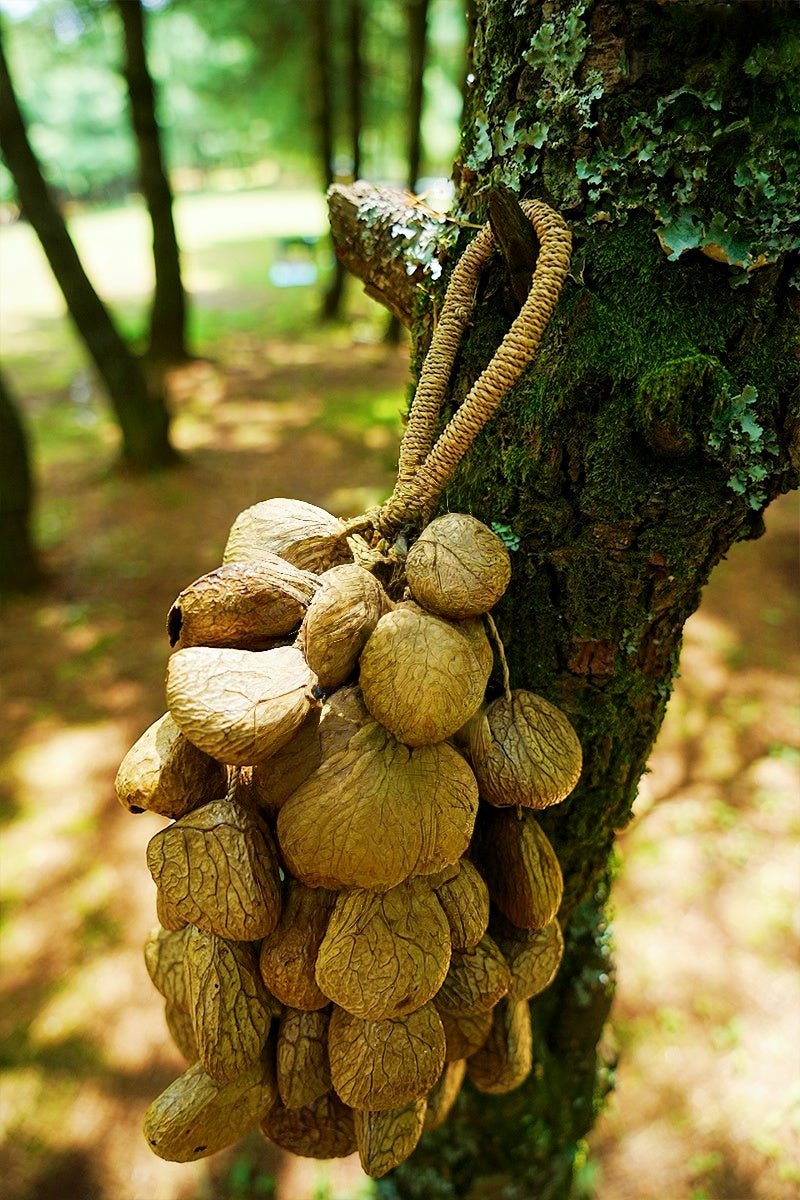 Hand Bell | Handmade Panji Seed Shaker